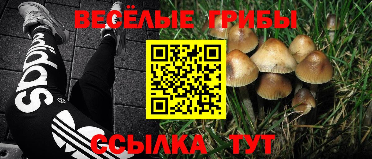 Псилоцибиновые грибы ЛСД Сосновый Бор